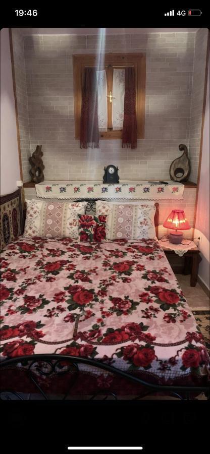 Η Θεα Traditional House Makrinítsa Exteriör bild