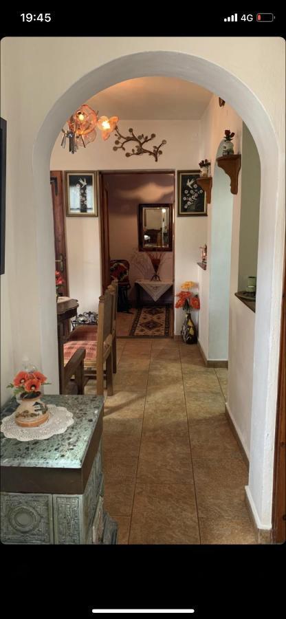 Η Θεα Traditional House Makrinítsa Exteriör bild