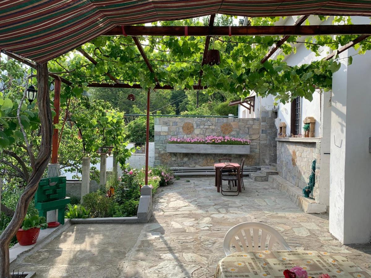 Η Θεα Traditional House Makrinítsa Exteriör bild